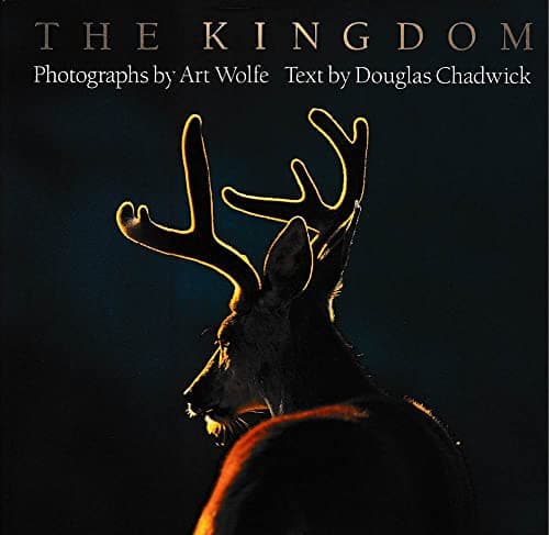 Book cover for The Kingdom by Chadwick, Douglas