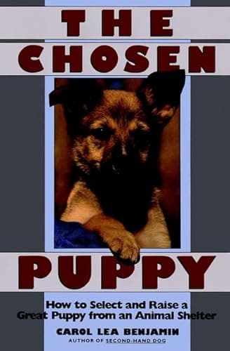 Book cover for The Chosen Puppy by Benjamin, Carol Lea