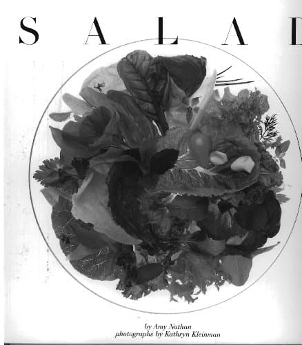 Book cover for Salad by Amy Nathan