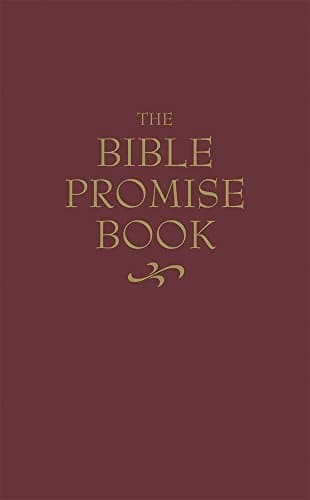 Book cover for The Bible Promise Book - KJV by Barbour Publishing