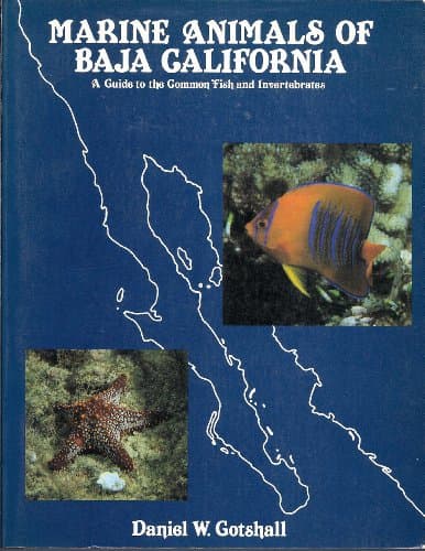 Book cover for Marine animals of Baja California: A guide to the common fish and invertebrates by Gotshall, Daniel