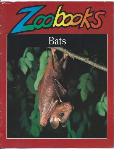 Book cover for Bats (Zoobooks Series) by Wood, Lily
