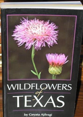 Book cover for Wildflowers of Texas by Ajilvsgi, Geyata
