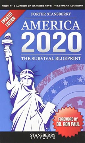 Book cover for America 2020: The Survival Blueprint by Porter Stansberry