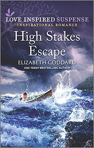 Book cover for High Stakes Escape (Mount Shasta Secrets, 4) by Goddard, Elizabeth