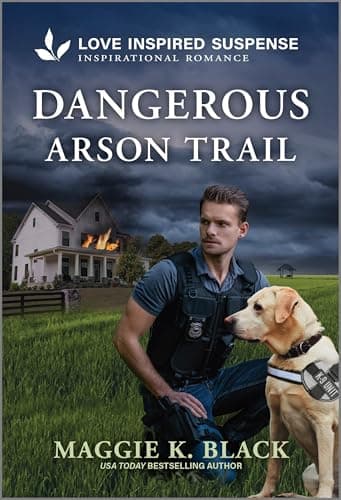 Book cover for Dangerous Arson Trail (Unsolved Case Files, 3) by Black, Maggie K.