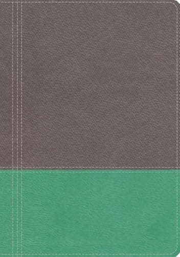 Book cover for The Modern Life Study Bible: New King James Version, God's Word for Our World, Dove Gray/Lagoon Green Leathersoft by Thomas Nelson Publishers