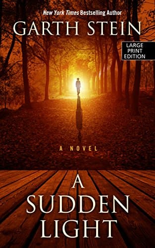 Book cover for A Sudden Light (Wheeler Publishing Large Print Hardcover) by Stein, Garth