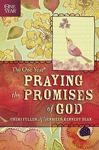 Book cover for The One Year Praying the Promises of God by Fuller, Cheri