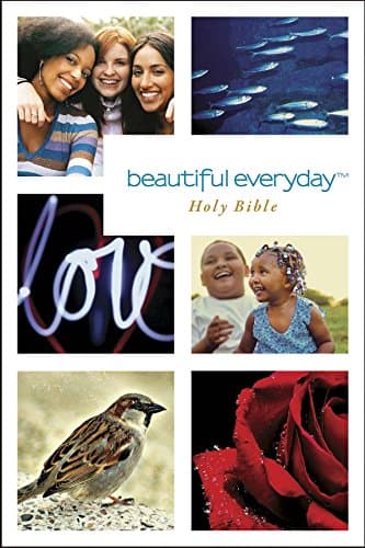 Book cover for Beautiful Everyday Holy Bible NLT by Tyndale