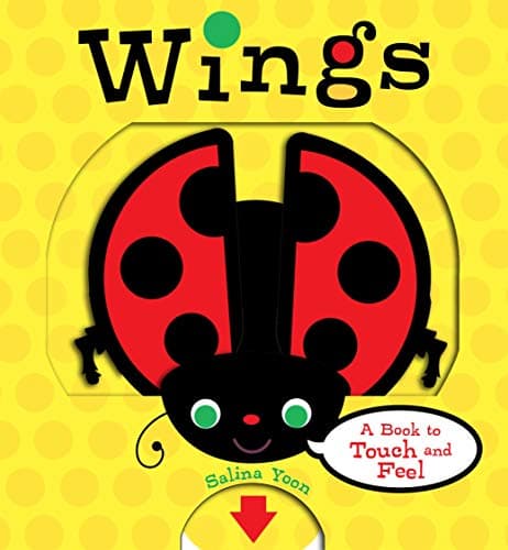 Book cover for Wings: A Book to Touch and Feel by Yoon, Salina