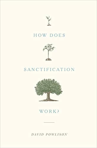 Book cover for How Does Sanctification Work? by Powlison, David