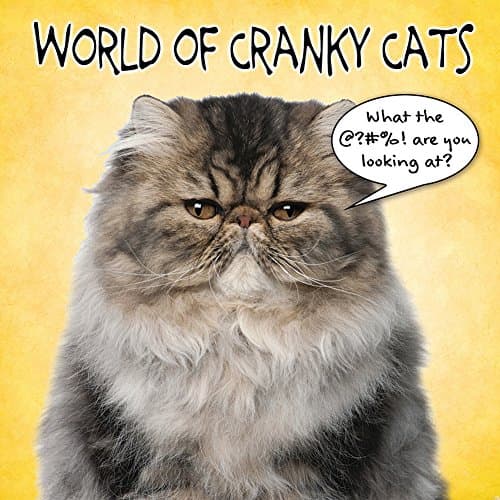 Book cover for World of Cranky Cats by New Seasons