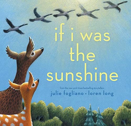 Book cover for If I Was the Sunshine by Fogliano, Julie