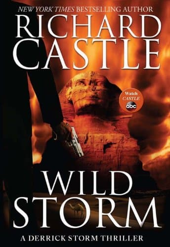 Book cover for Wild Storm: A Derrick Storm Thriller (A Derrick Storm Thriller, 2) by Castle, Richard