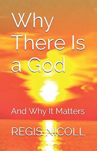 Book cover for Why There Is a God: And Why It Matters by NICOLL, REGIS