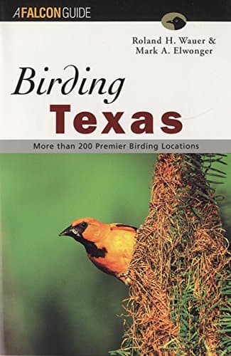 Book cover for Birding Texas (Falcon Guide) by Wauer, Roland H.