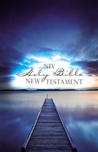 Book cover for NIV, Outreach New Testament, Paperback, Blue by Zondervan