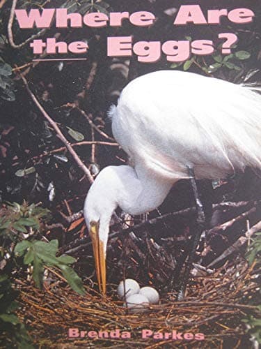 Book cover for Where Are the Eggs? by Brenda Parkes