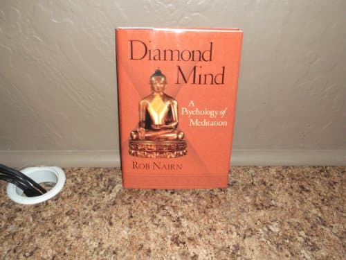 Book cover for Diamond Mind by Nairn, Rob