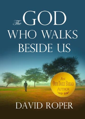 Book cover for The God Who Walks Beside Us by Roper, David