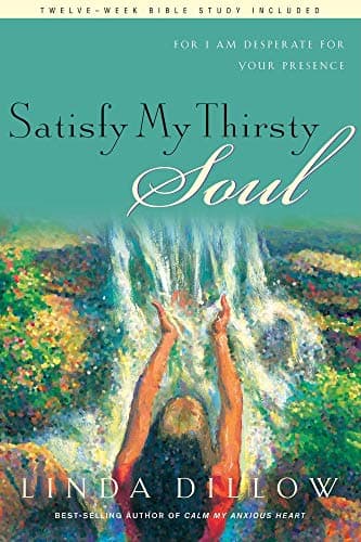 Book cover for Satisfy My Thirsty Soul: For I am desperate for Your presence by Dillow, Linda