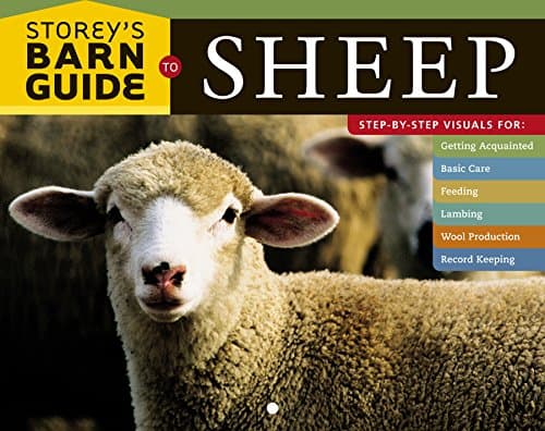 Book cover for Storey's Barn Guide to Sheep by Storey