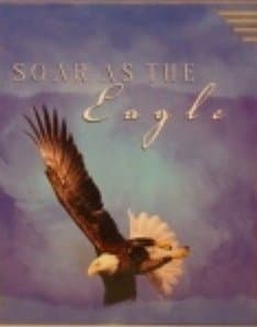 Book cover for Soar as the Eagle by Sheryl Lynn Hill
