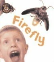 Book cover for Firefly (Bug Books) by St. Pierre, Stephanie