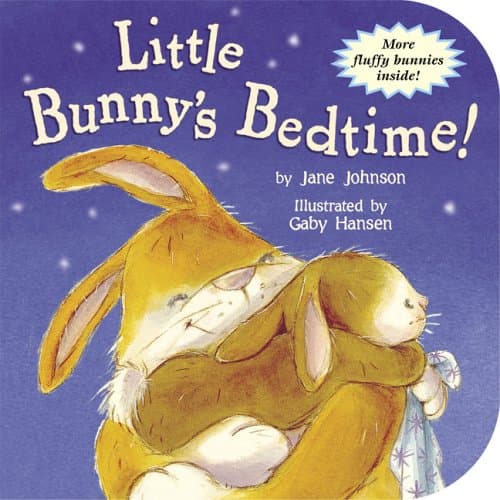 Book cover for Little Bunny's Bedtime! by Johnson, Jane