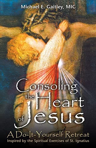 Book cover for Consoling the Heart of Jesus: A Do-It-Yourself Retreat- Inspired by the Spiritual Exercises of St. Ignatius by Michael E. Gaitley
