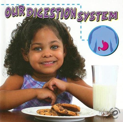 Book cover for Our Digestion System (Our Bodies) by Thames, Susan