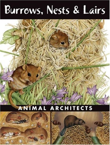 Book cover for Burrows, Nests & Lairs: Animal Architects by Spada, Ada