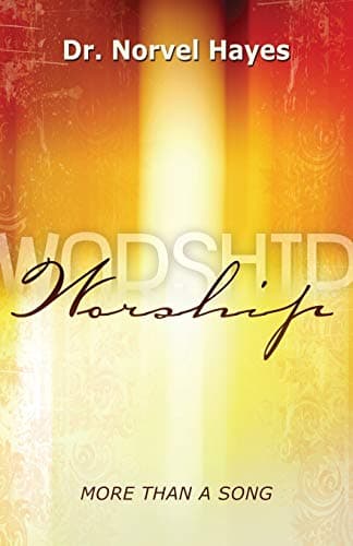 Book cover for Worship: More Than a Song by Hayes, Novel