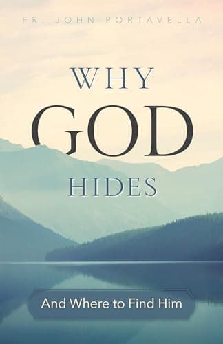 Book cover for Why God Hides: And Where to Find Him by John Portavella
