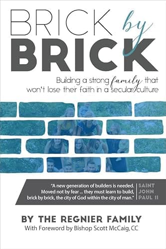 Book cover for Brick by Brick by The Regnier Family
