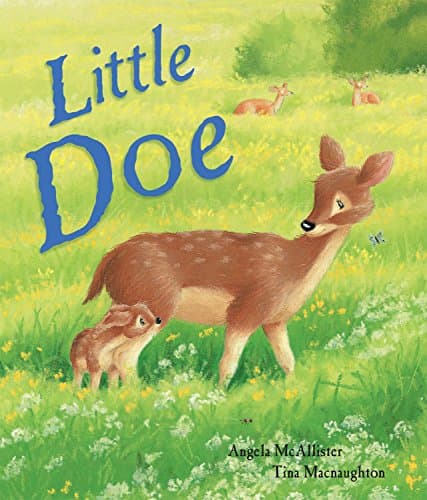 Book cover for Little Doe by McAllister, Angela