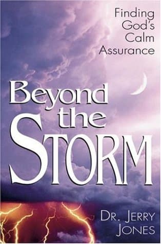 Book cover for Beyond the Storm by Jones, Jerry
