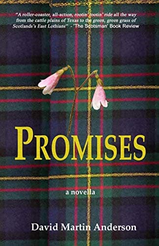 Book cover for Promises (This Book Is No Longer Published) by Anderson, David Martin