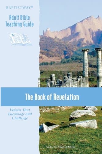 Book cover for The Book of Revelation: Visions That Encourage and Challenge by William M Pinson