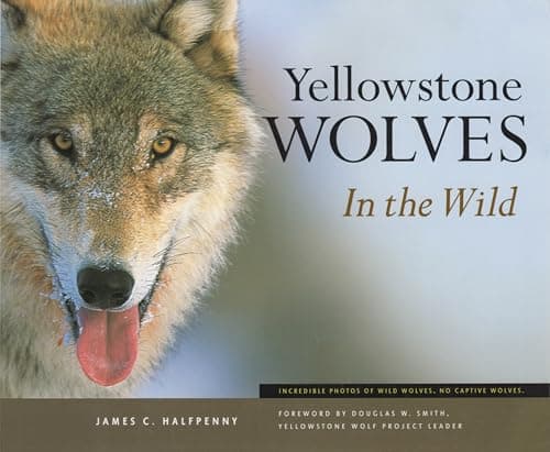 Book cover for Yellowstone Wolves in the Wild by Halfpenny, James C