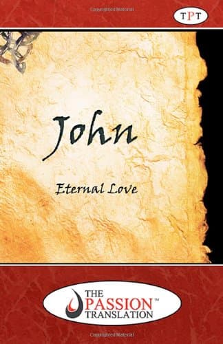 Book cover for John: Eternal Love by Simmons, Brian