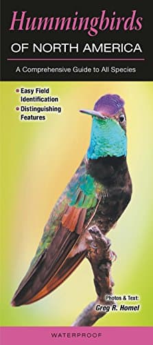 Book cover for Hummingbirds of North America: A Comprehensive Guide to All Species by Greg R. Homel