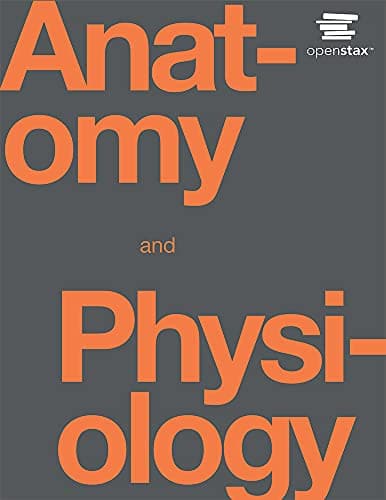 Book cover for Anatomy and Physiology by OpenStax (Official Print Version, hardcover, full color) by Kelly A. Young