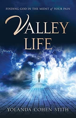Book cover for Valley Life: Finding God in the Midst of Your Pain (1) by Stith, Yolanda Cohen