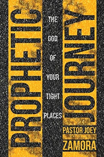 Book cover for Prophetic Journey: The God of Your Tight Places by Zamora, Joey
