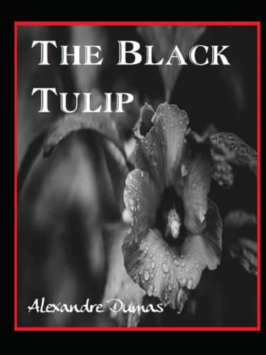 Book cover for The Black Tulip by Dumas, Alexandre