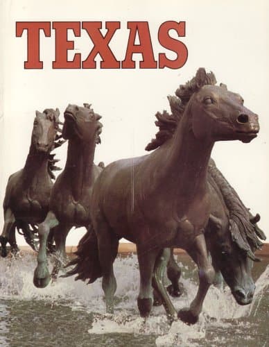 Book cover for TEXAS by State Department of Highways and Public Transportation