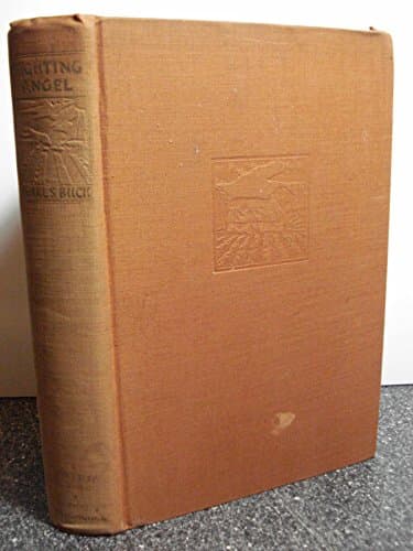Book cover for FIGHTING ANGEL. by Buck, Pearl S.