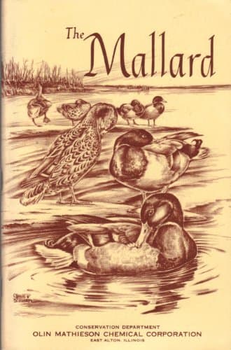 Book cover for The Mallard by madson, john